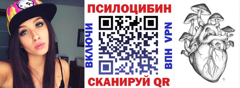 Псилоцибиновые грибы Psilocybine cubensis  Нижнеудинск 